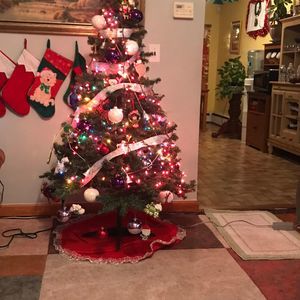 Meet your Posher, Edilene